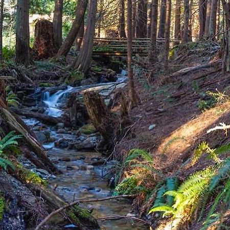 Forest Haven Hideaway Roberts Creek Eksteriør bilde