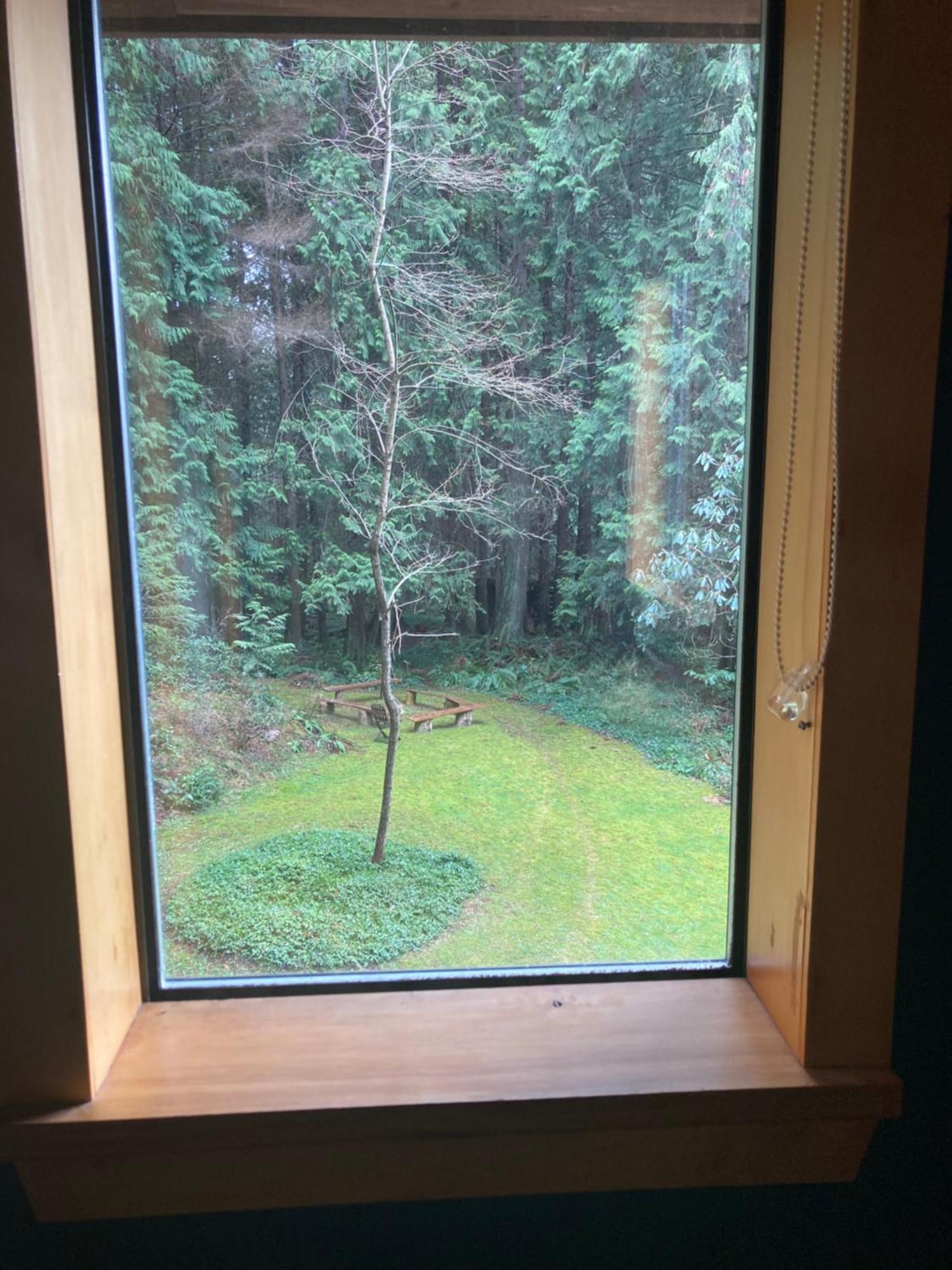 Forest Haven Hideaway Roberts Creek Eksteriør bilde